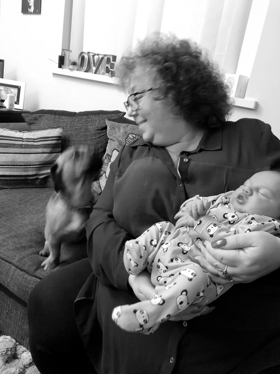 Jacwee67's tweet photo. Meet the newest member of the family Brody 😍shes so cute. Carlos was so good just a bit jealous. January 1 death 1 birth could be worse.#babylove #broody #socute #lookatthatdog https://t.co/oqpfkVAq5r
