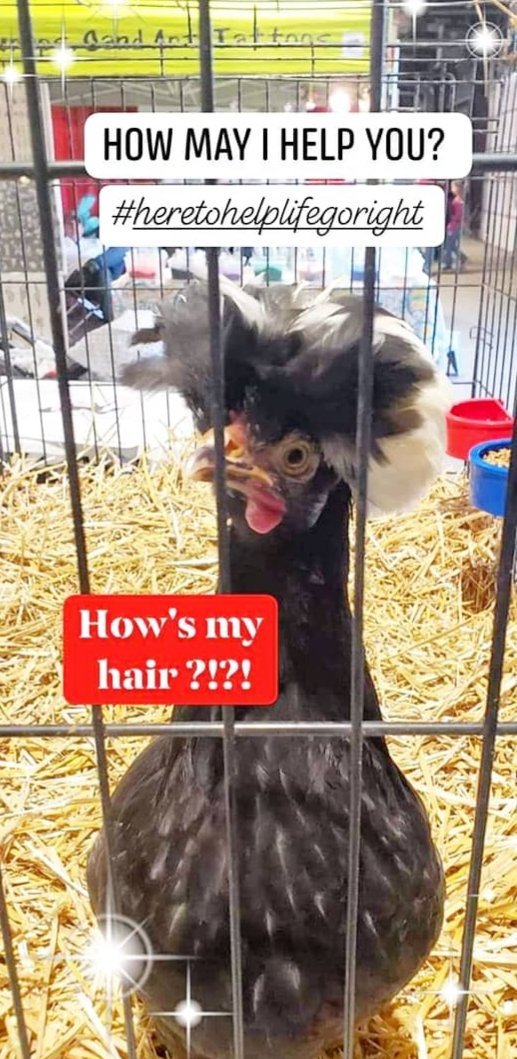 Lauren Butler tweet media