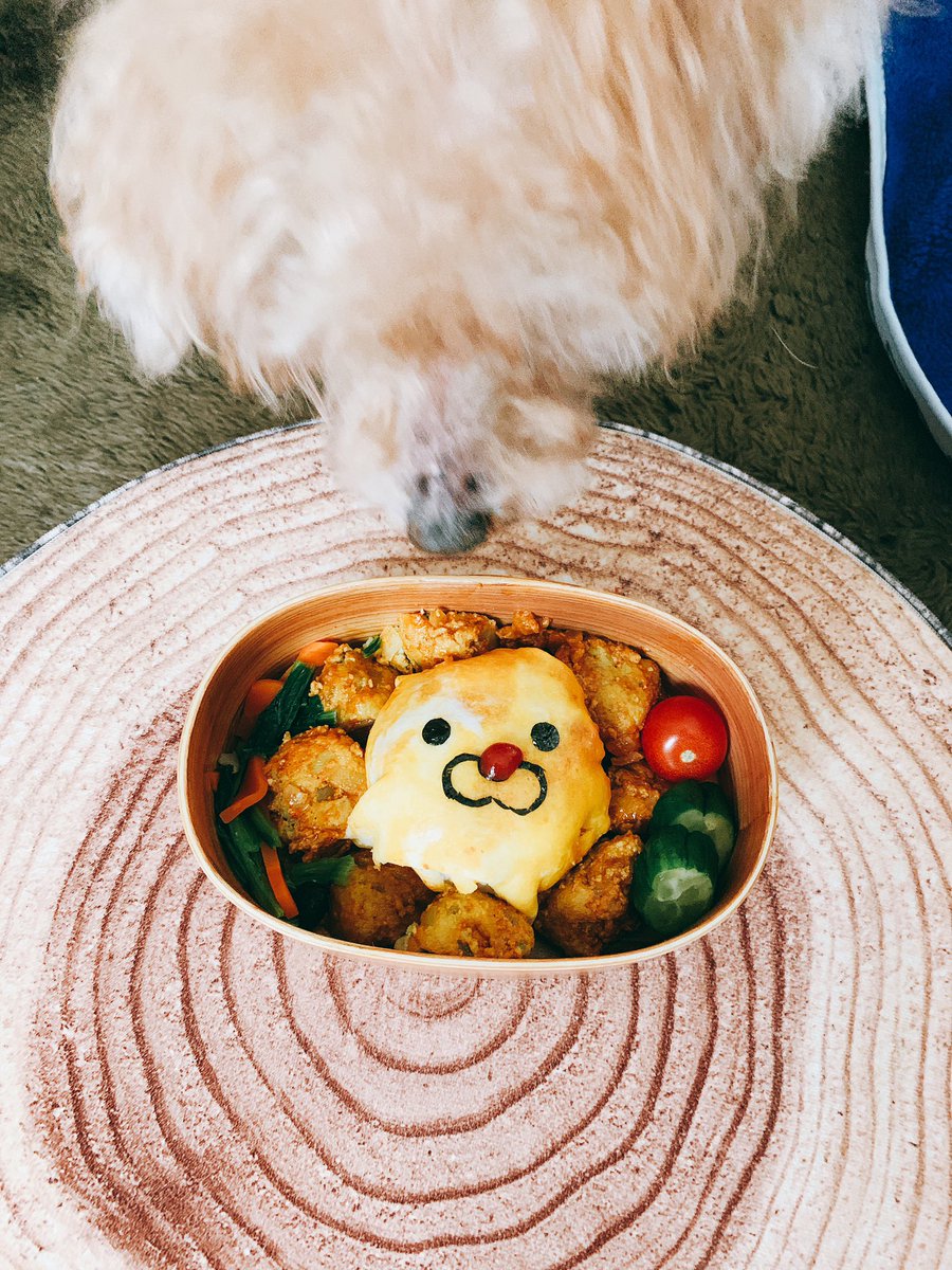 Ayako Auf Twitter ポンデライオン風オムライス弁当 キャラ弁 狙われるキャラ弁 ポンデライオン