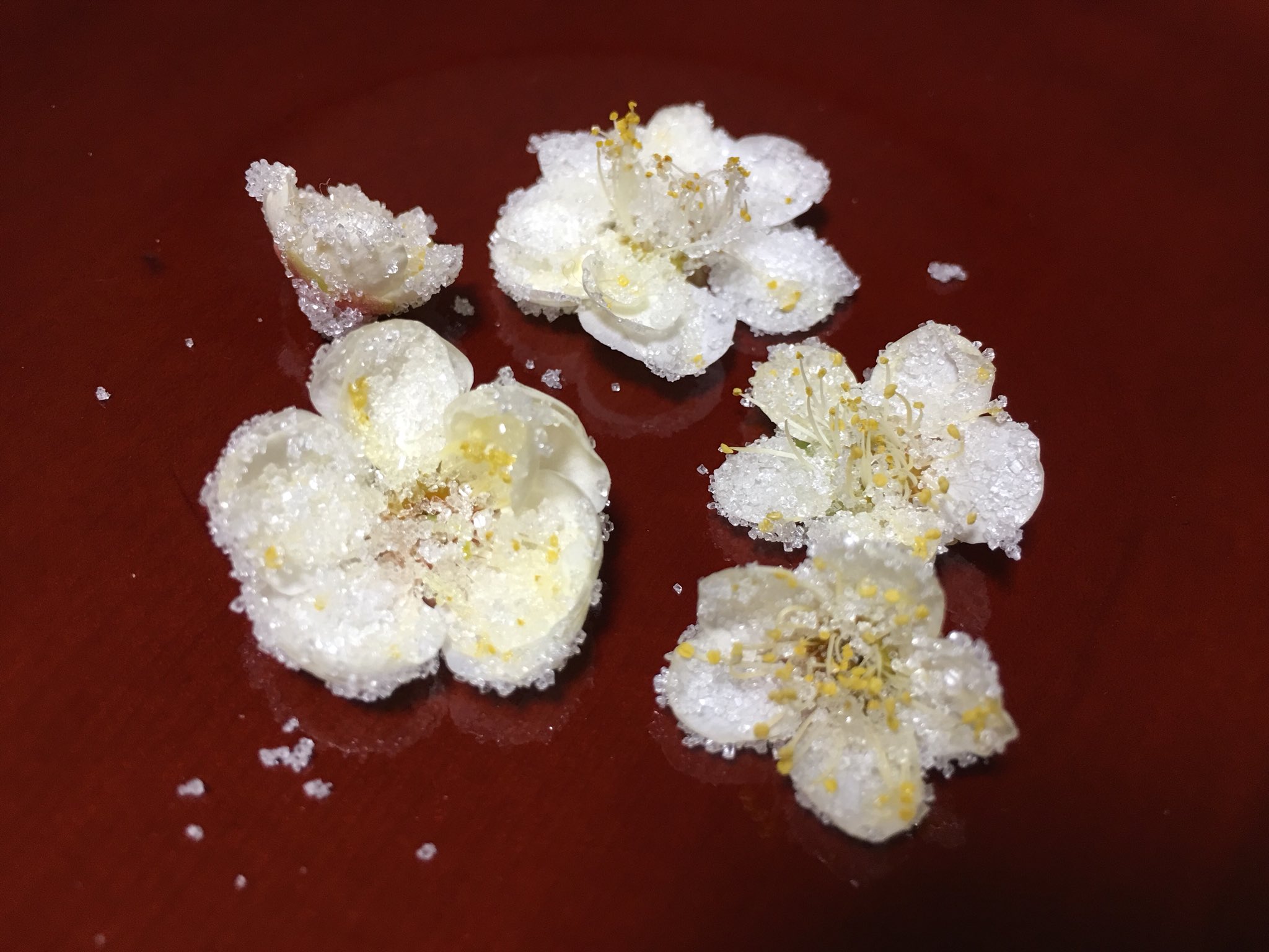Inori 梅の花の砂糖がけを作りました 硬い部分を取り除いて水ですすいで乾かして 卵白を薄く塗り グラニュー糖をまぶして乾かします 美味しいですがたくさん食べるとエグいです ところで 私は毎年食べていましたが梅の花って食べても大丈夫でしょ