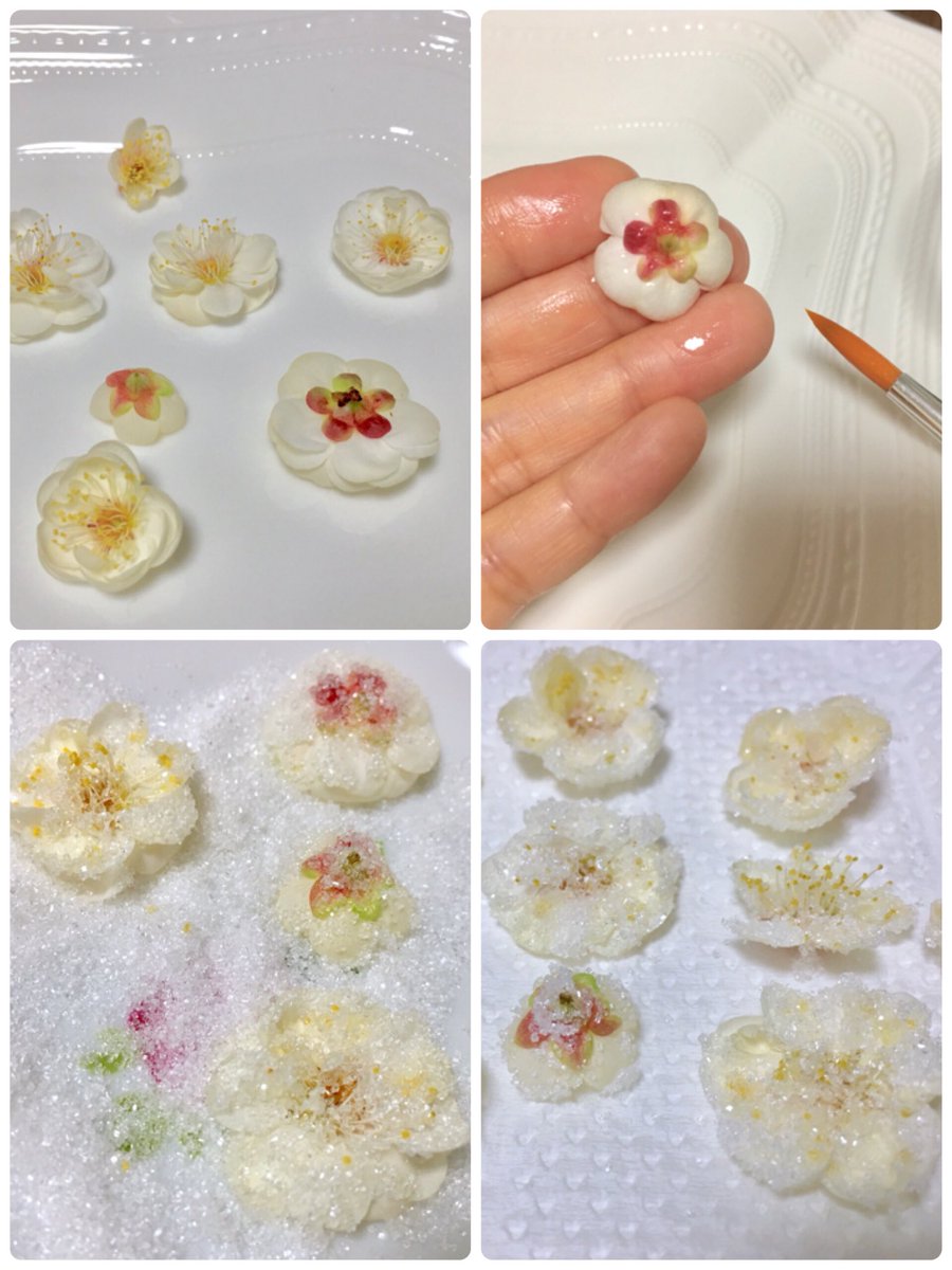 Inori 梅の花の砂糖がけを作りました 硬い部分を取り除いて水ですすいで乾かして 卵白を薄く塗り グラニュー糖をまぶして乾かします 美味しいですがたくさん食べるとエグいです ところで 私は毎年食べていましたが梅の花って食べても大丈夫でしょ
