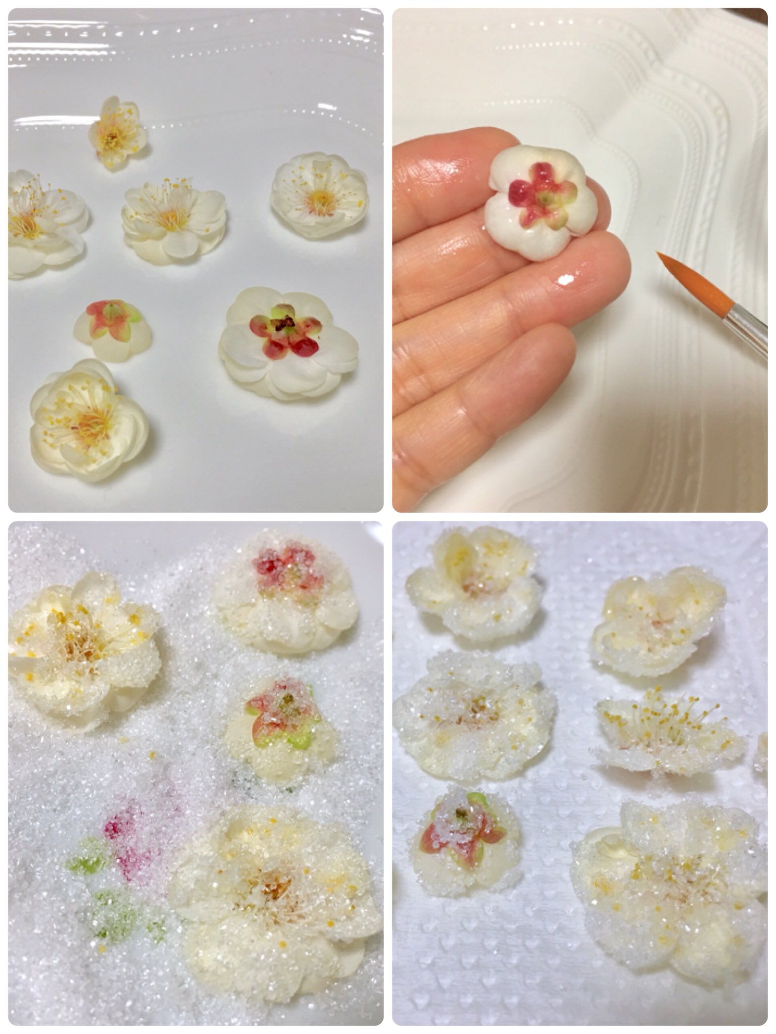Inori 梅の花の砂糖がけを作りました 硬い部分を取り除いて水ですすいで乾かして 卵白を薄く塗り グラニュー糖をまぶして乾かします 美味しいですがたくさん食べるとエグいです ところで 私は毎年食べていましたが梅の花って食べても大丈夫でしょ
