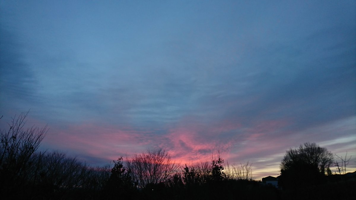 hiromimorita2's tweet image. こっちゃんさん
おはようございます🎵
此方は仮面舞踏会な朝焼けの朝🌄
霜は降りず寒さ少し緩んでます
私は楽しい時は疲れませんよ😊
腰を温めてお身体ご自愛して
お大事にしてくださいね🍀
月末なので集中して頑張ります☆
お互いに良い１日を過ごし
ましょうね😊❤️🍀💞
#朝焼け
#シクラメンの花