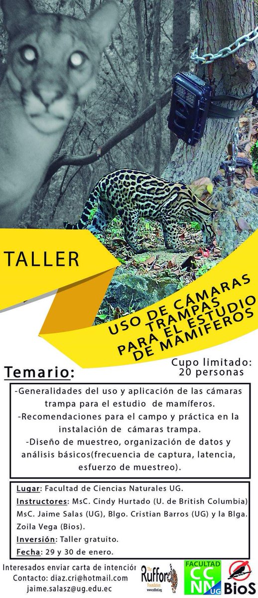 CindyM_Hurtado's tweet photo. Heading to #Guayaquil tomorrow for our first #cameratrapping workshop for undergraduates and park rangers!!! 😊🐯 @GuarderasVega
https://t.co/BeuYUBRzLG

#WildCo lab
#dryforest
#CarnivoreConnectivity https://t.co/nYOZwiwxRa