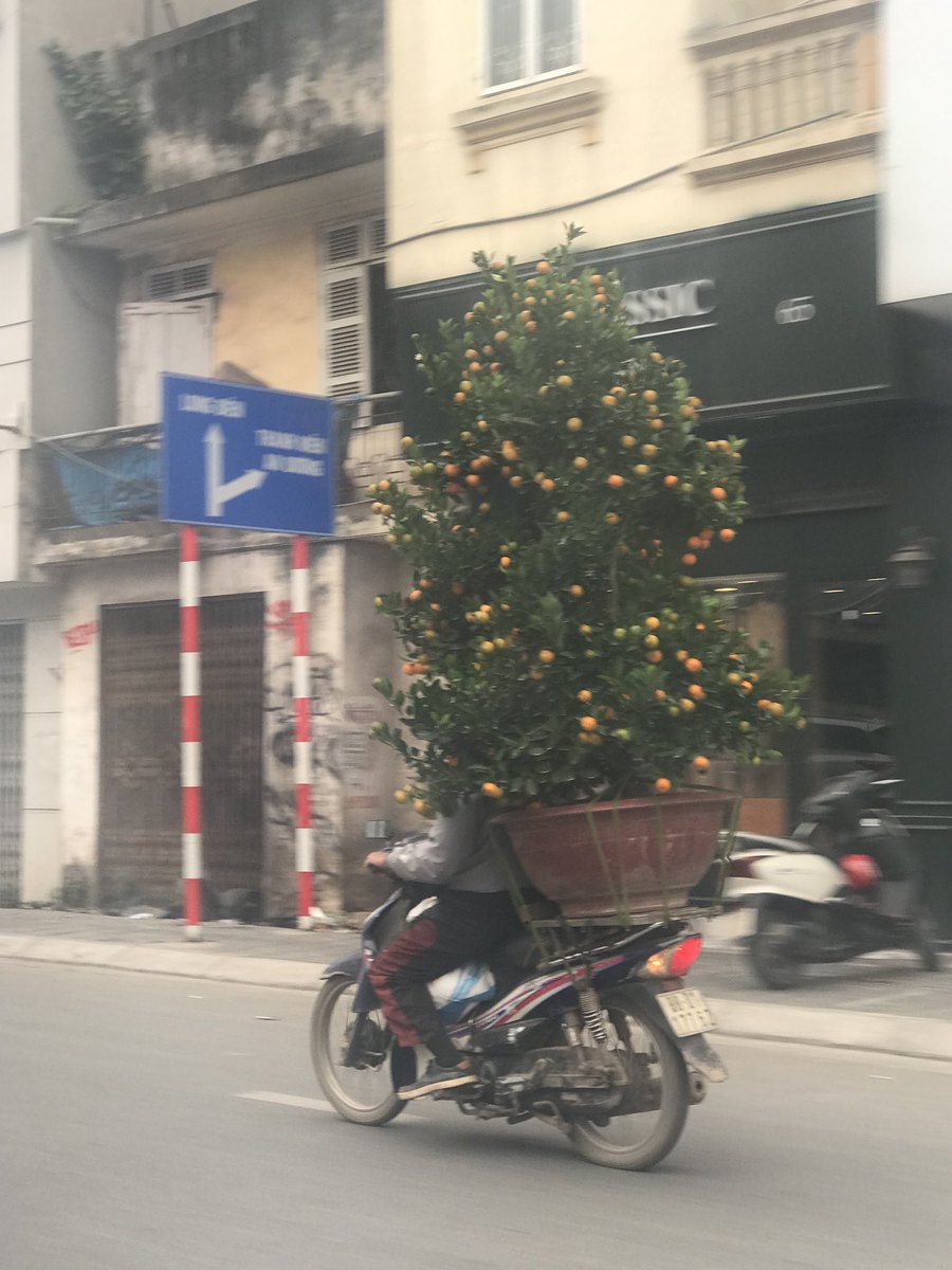 Our time in SE Asia has taught us that there is nothing you can’t transport on the back of a bike!