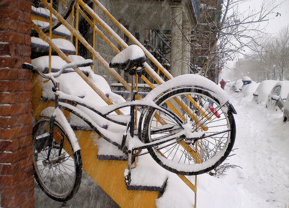 LaCavale_Mtp's tweet photo. Des #Livres en provenance du #Quebec
à lire sous le climat de #Montpellier, ça vous tente ?

En février, à la librairie La Cavale, 
le Québec débarque !! ❄️ 

- livres et éditeurs québécois 📗📚
- rencontres #LaCavale le 12 et 21 février https://t.co/4R0s7ifTx3