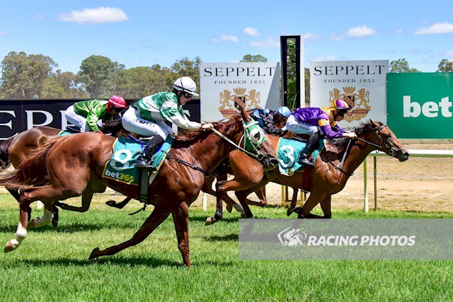 vicbreeders's tweet photo. BLACK BACARDI (Equiano) won at Great Western yesterday for trainer Aaron Purcell and jockey Zac Spain. She was bred by Adam Sangster and is a graduate of the Inglis VOBIS Gold Yearling Sale. Congratulations to all connections! https://t.co/NtN7FfJ8Dl