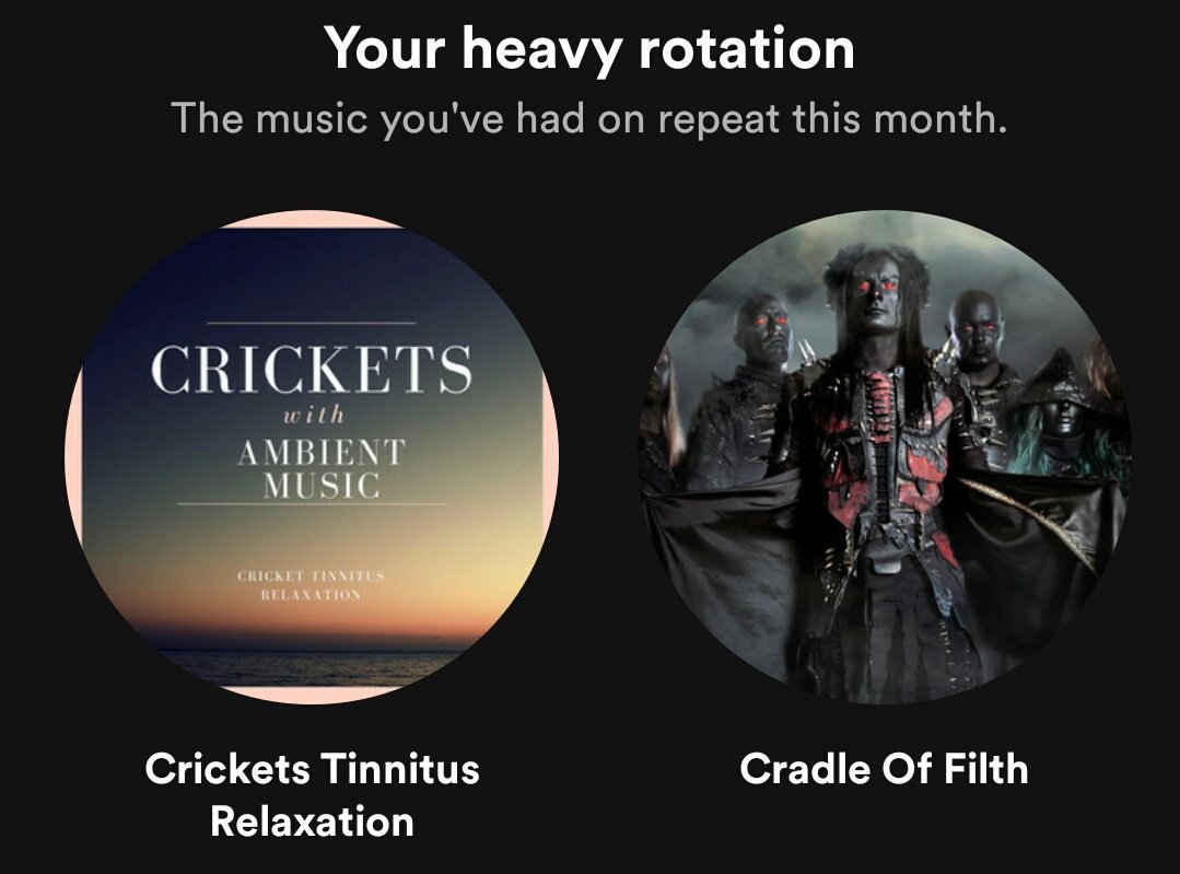 Bocage2ponto0's tweet photo. Grilos e Cradle of Filth, manos. Pensem nisso. #Spotify #JanuaryPlaylist https://t.co/HtQ9YiO8xC