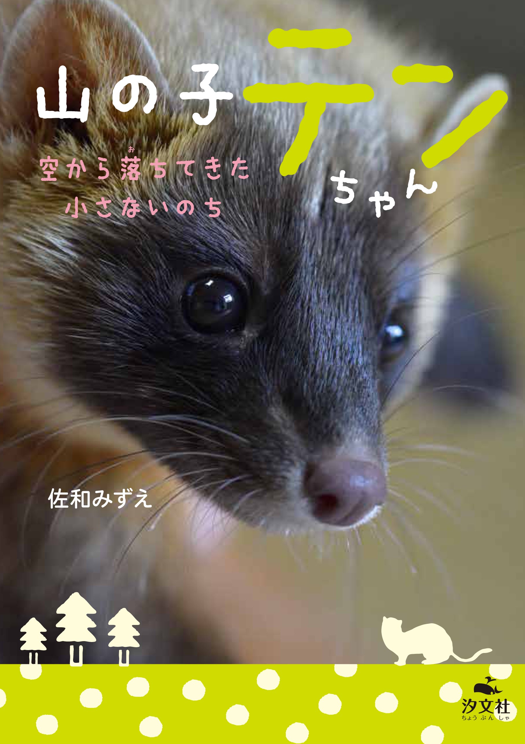 汐文社 Ar Twitter 紹介 山の子テンちゃん 佐和みずえ著 が大分合同新聞 1 16 で紹介されました 大分市の女性が偶然保護した テンの赤ちゃんと生活を共にしながら 野生へ返すために奮闘した日々を描いた 子どもたちに命の大切さと 生きることのすごさ