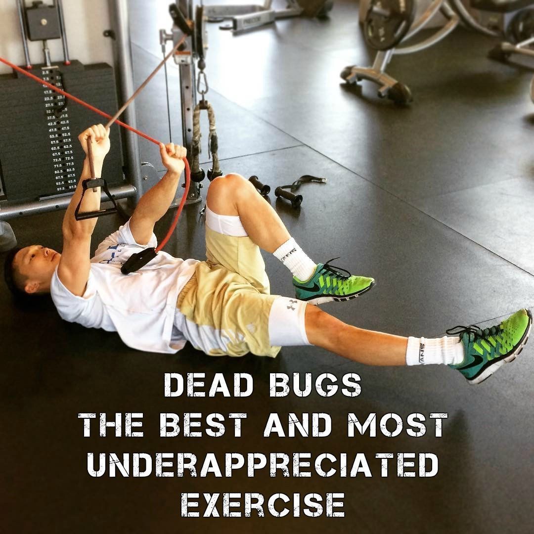 The Prehab Guys on Twitter ""Dead Bugs The Best and Most