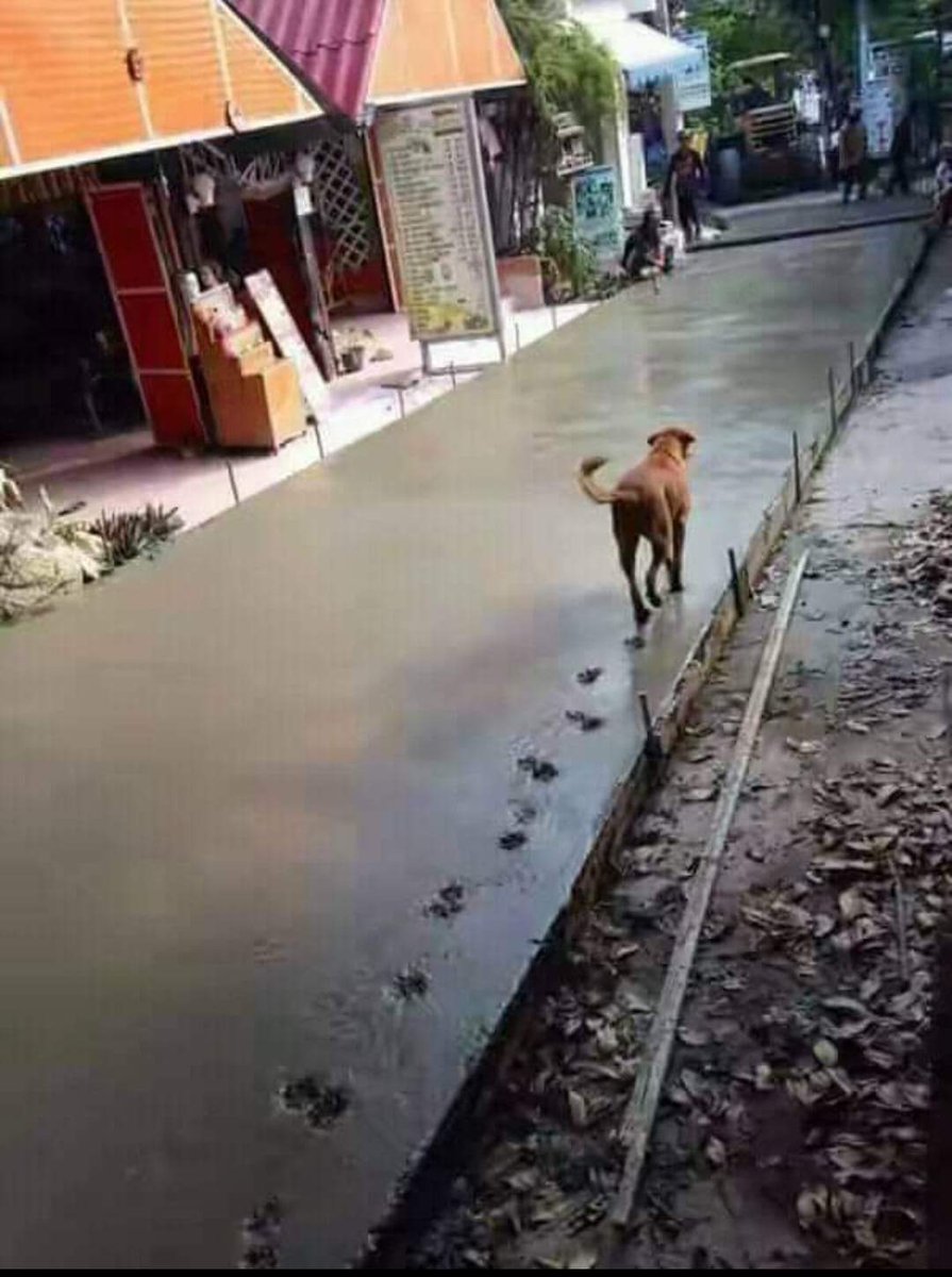 anton_soe's tweet photo. Cuma anjing yg tidak bisa menghargai infrastruktur https://t.co/GwCqBtpaF9
