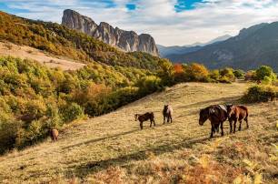 MealFrass's tweet photo. 18 proyectos en la Red de Espacios Naturales Protegidos de Cantabria reciben subvenciones por 300.000 euros https://t.co/o7gkE3A7XJ https://t.co/m1z52Y1N25
