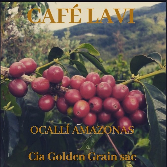 Darwin Ruiz Vela (@darwinruizvela2) on Twitter photo 