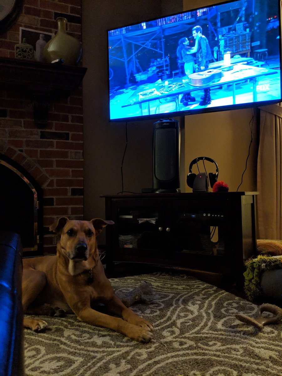 mccabe1101's tweet photo. My dog even likes to watch #RENT 
#RentLive #howwegonnapay https://t.co/tuwvib7SMg