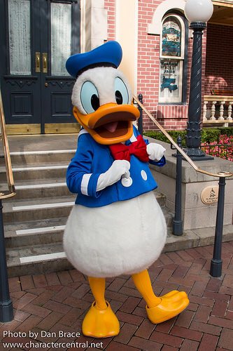 ImStephNotSteve's tweet photo. Who wore it better?
#LaceyEvans #DonaldDuck #RoyalRumble #WWE https://t.co/spqgit9UXs