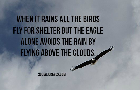 annemariayritys's tweet image. When it rains all the birds fly for shelter but the eagle alone avoids the rain by flying above the clouds. #quote