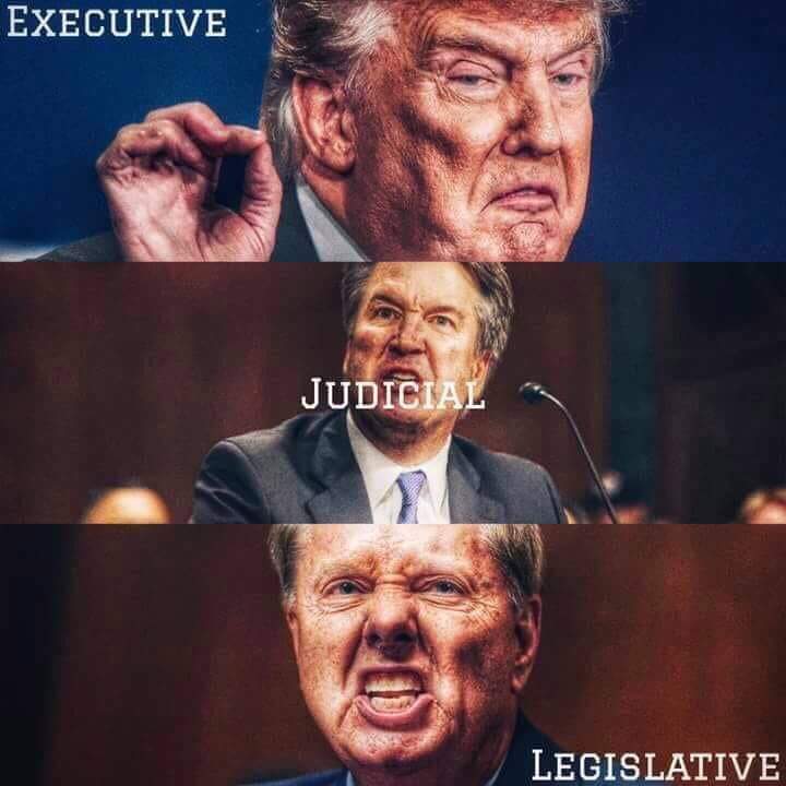 ADelight9's tweet image. I'd love for us to clean up house! 

#ImpeachTrump 
#IndictTheMF 
#RemoveKavanaugh