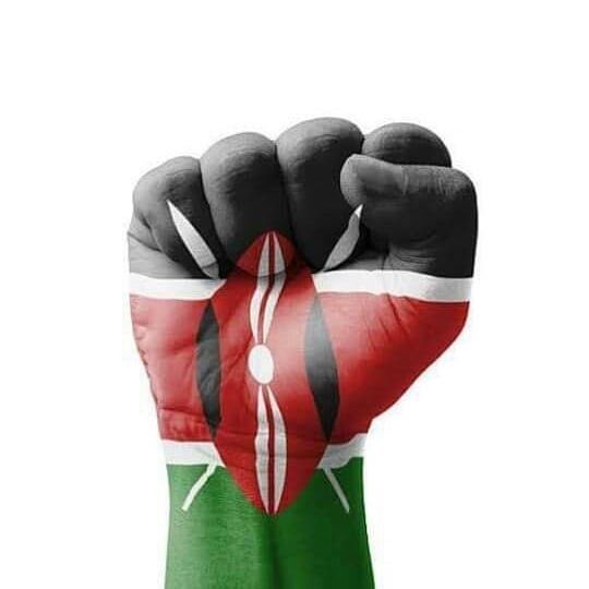 EDAyandaDlodlo's tweet image. Sincere condolences to the people of Kenya for the tragic and senseless loss of life witnessed yesterday.
AFRICA STANDS WITH KENYA