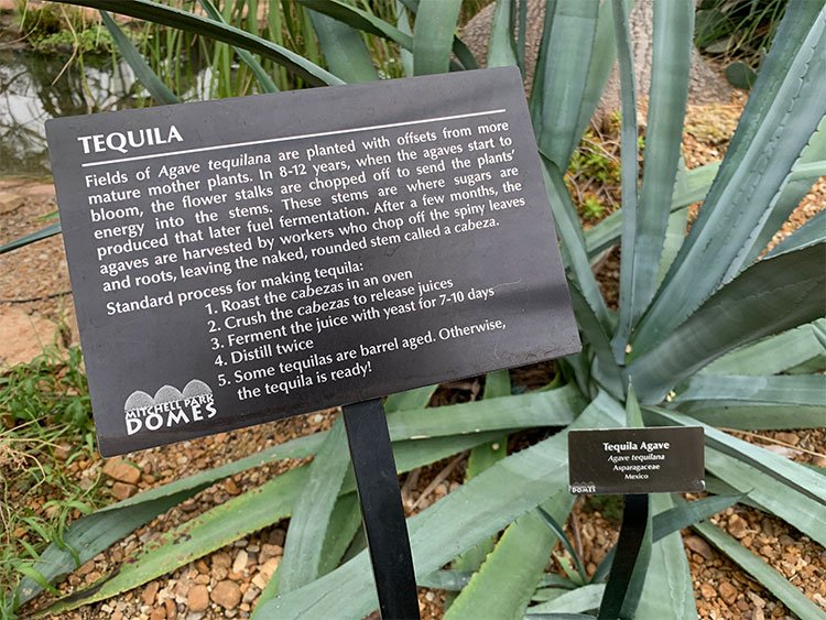 milwaukeerecord's tweet photo. 13 weird and wonderful things to discover at the Mitchell Park Domes https://t.co/El6rZQJpzZ https://t.co/koB3JAGgfT
