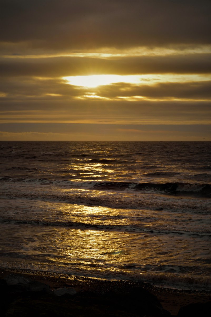 DelucaImages tweet picture