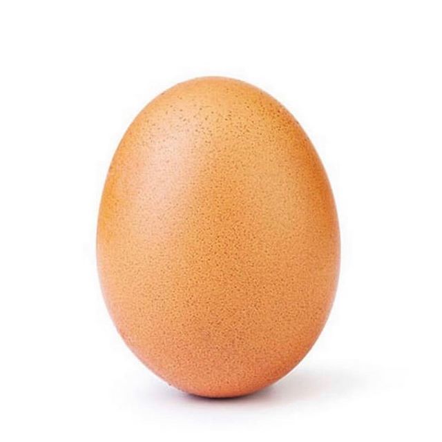 ridgeway_sport's tweet photo. @ridgewaysport 🥚 #liketheegg #ridgewaysport .
.
#bethebestyou  #pushyourself #cardioday  #weighttraining  #girlswhotrain #hiitworkout #shoulderworkout #ridgewaysport #athleticperformance #hybridtrainer #speedwork #coretraining  #sledpush  #hebaali #h… https://t.co/a341fBPMVo https://t.co/12ifFyJAAU