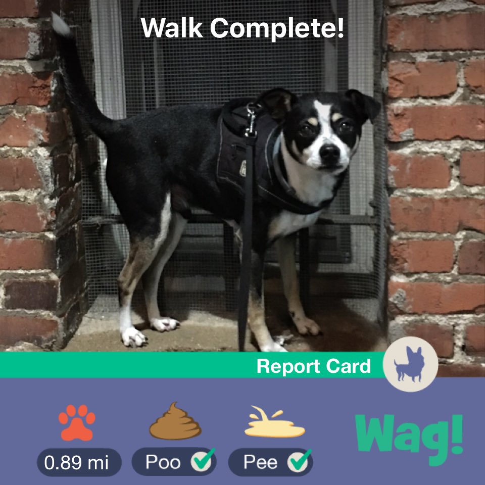 VastData's tweet image. Just finished a dog walk on Wag! Use my link wagwalking.app.link/Rbb4s67ZvT for $50 of FREE Wag credit!