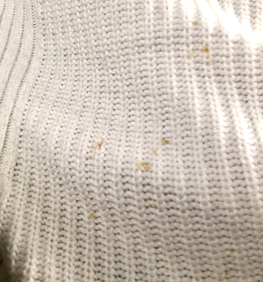 ハンバーグ弁当食べる時は注意しましょうね😉