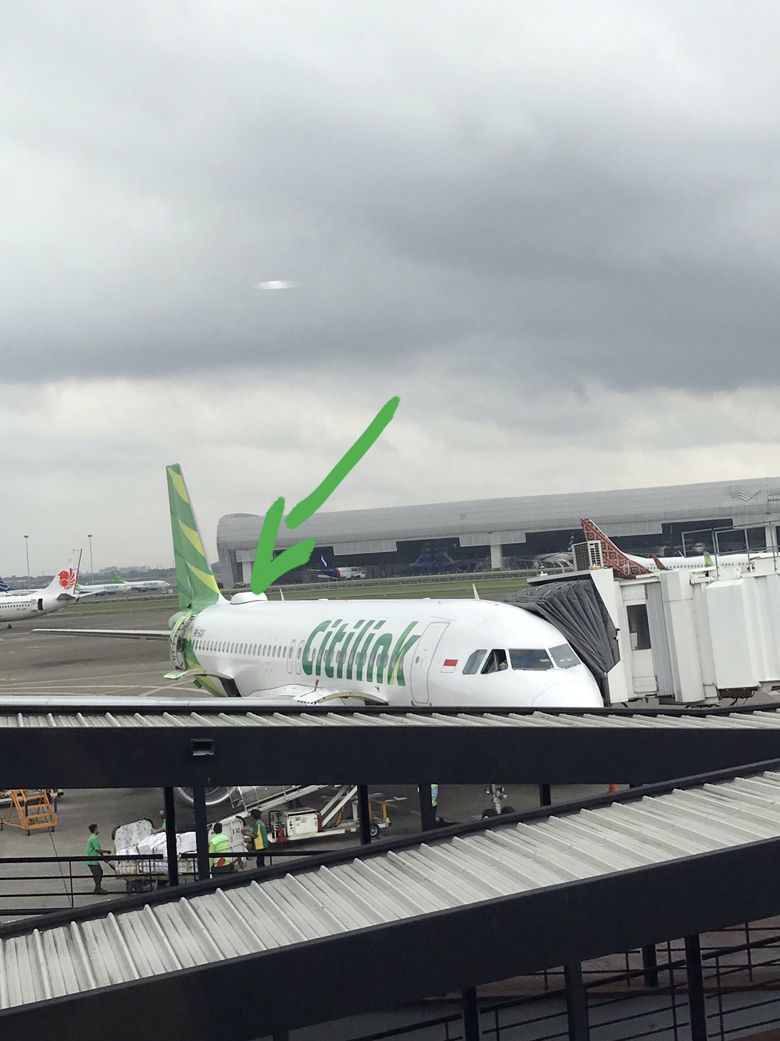Punuk di Pesawat Citilink