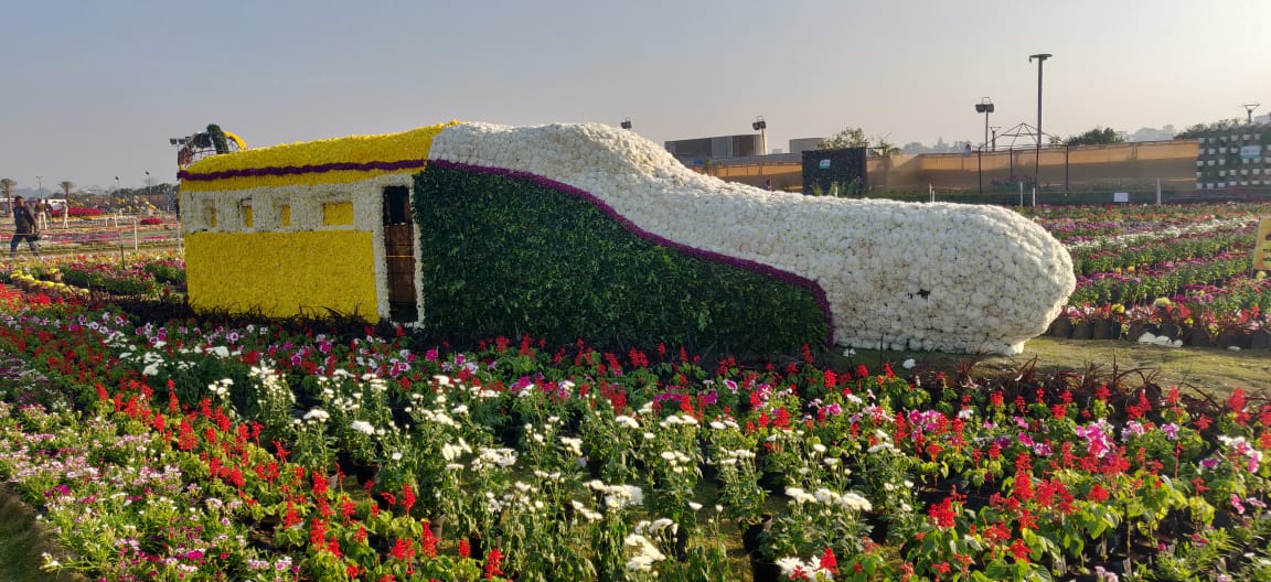 Ahmedabad Flower Show 2019 of AMC opens at Sabarmati Riverfront