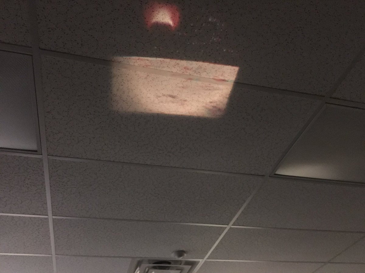 StepNoodles's tweet image. 3D glasses, 1st graders and an indoor planetarium with 3D slides is a fun day of learning! Can’t take them into space, so bringing space to them. #wishIwasMissFrizzle #sciencelabRULES @LangtreeCharter