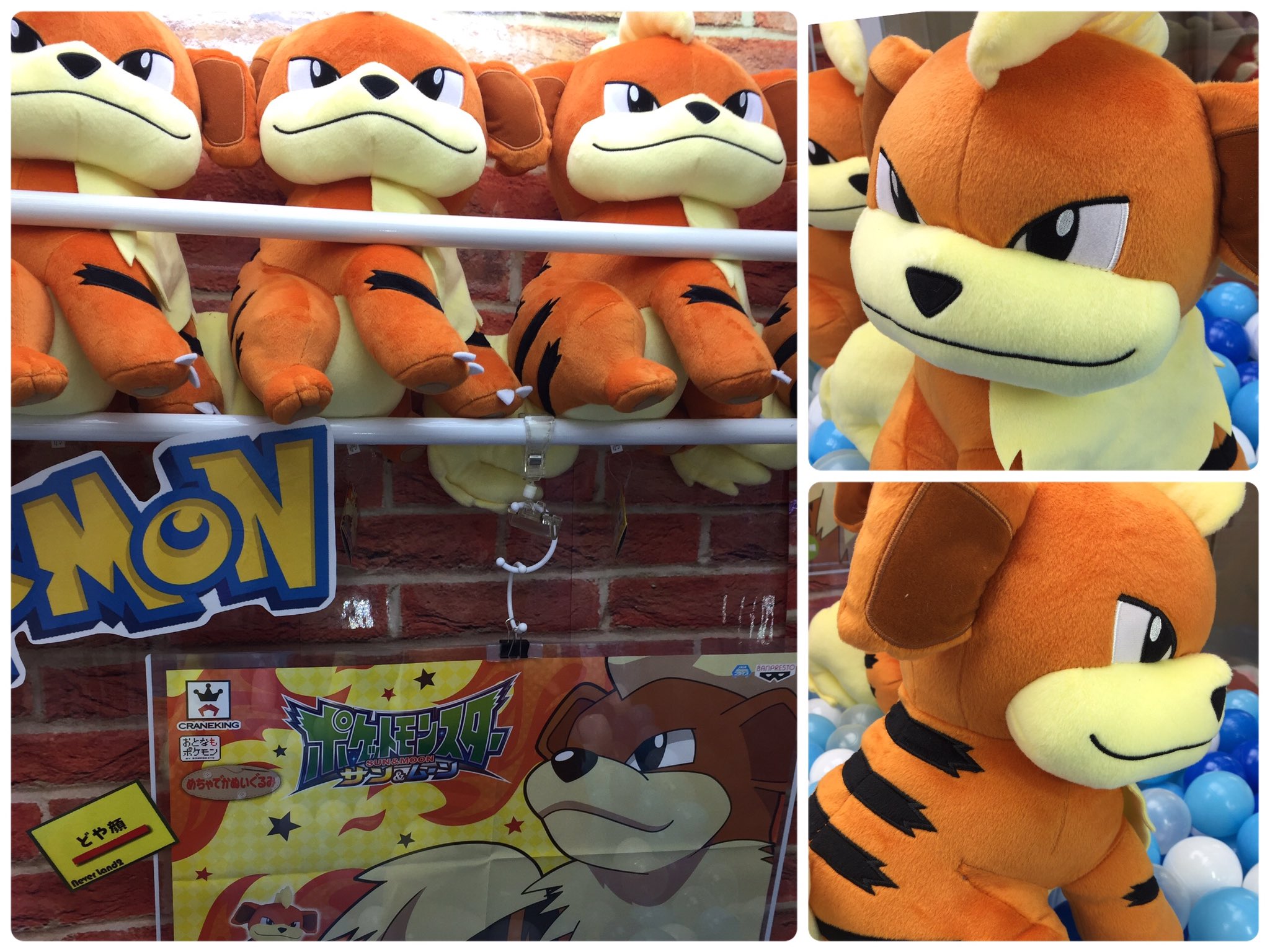 ネバーランド2 ポケモン めちゃでかぬいぐるみ ガーディ にゅーかー ちょっとめずらしいガーディが登場 どや顔しててかわいい T Co S1iewnw0ry Twitter