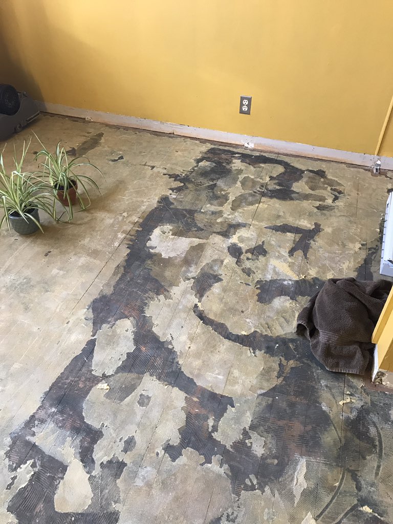 CorbitsOrbit's tweet image. 