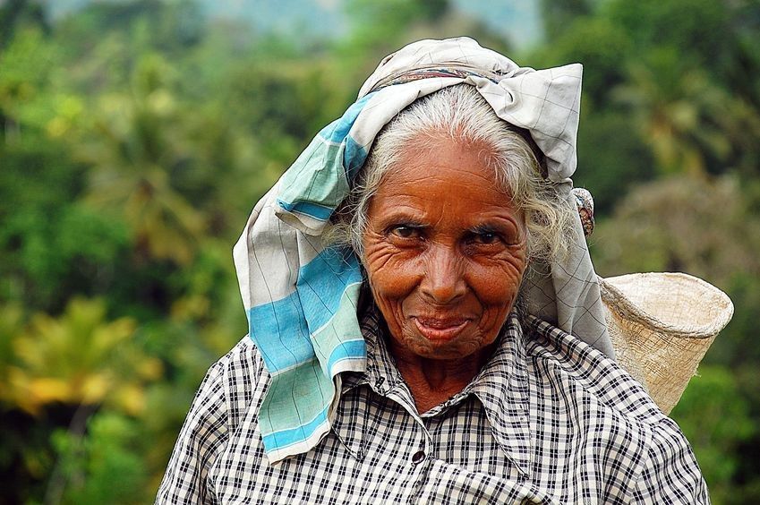 Remember the hard working people who make the wonderful cup of tea possible. #tea (2/10)