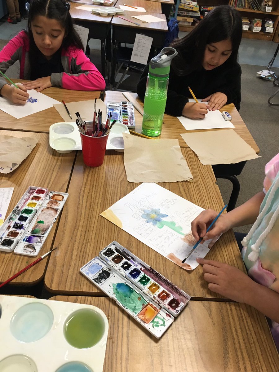 MaxwellTeam17's tweet photo. Combining science and art is a great way to spend a rainy afternoon at Maxwell Academy.  We are learning about photosynthesis in our IB unit of “Conservation”, during line 3 “Conservation of Energy”. #weareartists#welovescience#letitrain!
@MrsTateMaxwell 
@MaxIBPrincipal https://t.co/SCCNU9Gd99