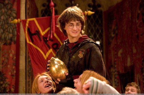 kratos0002's tweet photo. And the more famous egg is?
#Instaegg #worldrecordegg #pottermore #potterhead #dragonegg https://t.co/3HBnbMv9U7