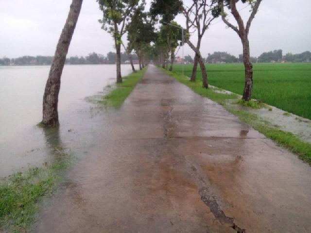 Banjir Akibat Hujan Deras Sungai Meluap Hingga Rendam Jalan dan Sawah di Wonoyoso Kuwarasan dlvr.it/QwmqDg