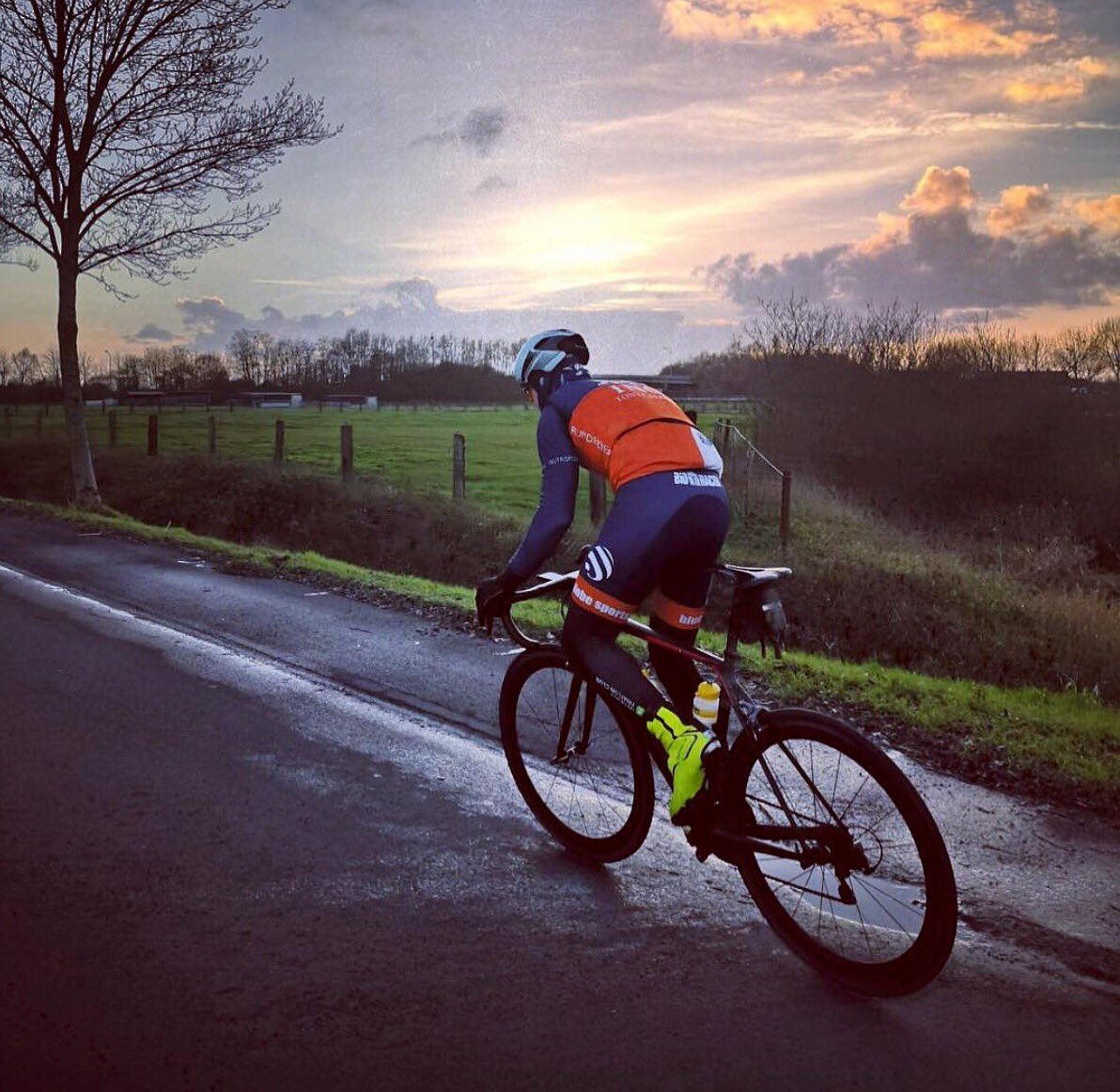 Leppin Benelux tweet media