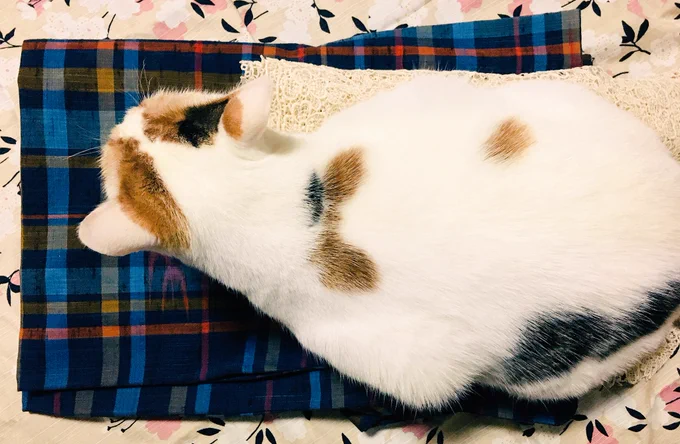 あーお客様困ります
お客様あーお困ります困ります 