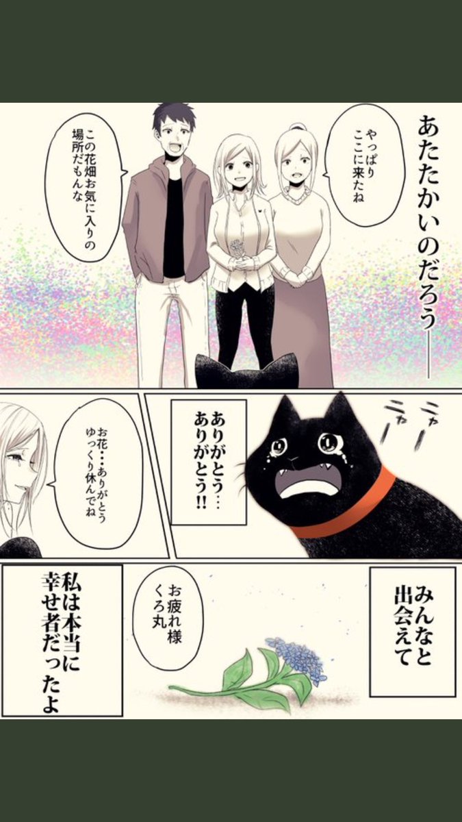 泣ける猫漫画