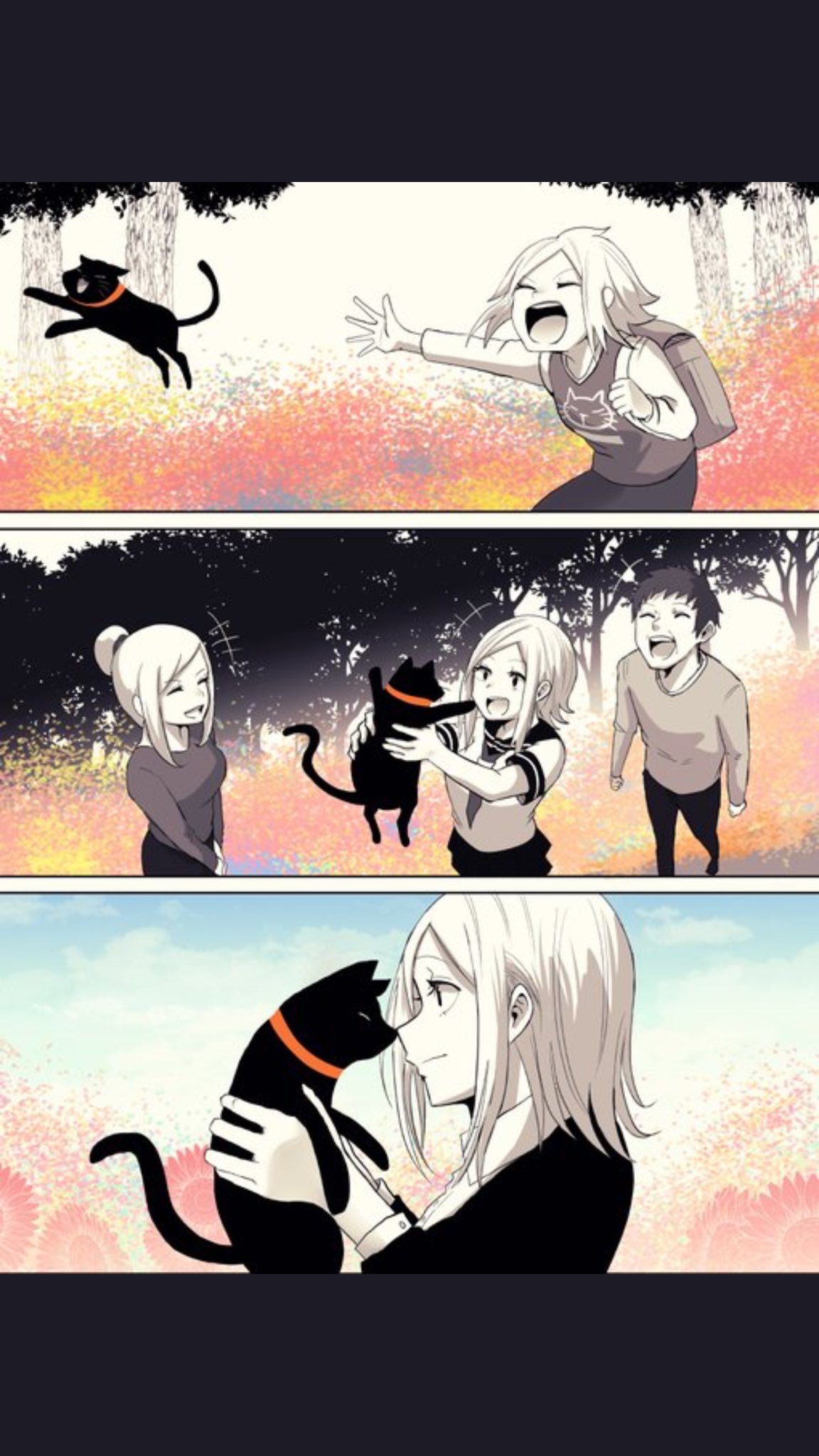 泣ける猫漫画 Twitter Search Twitter