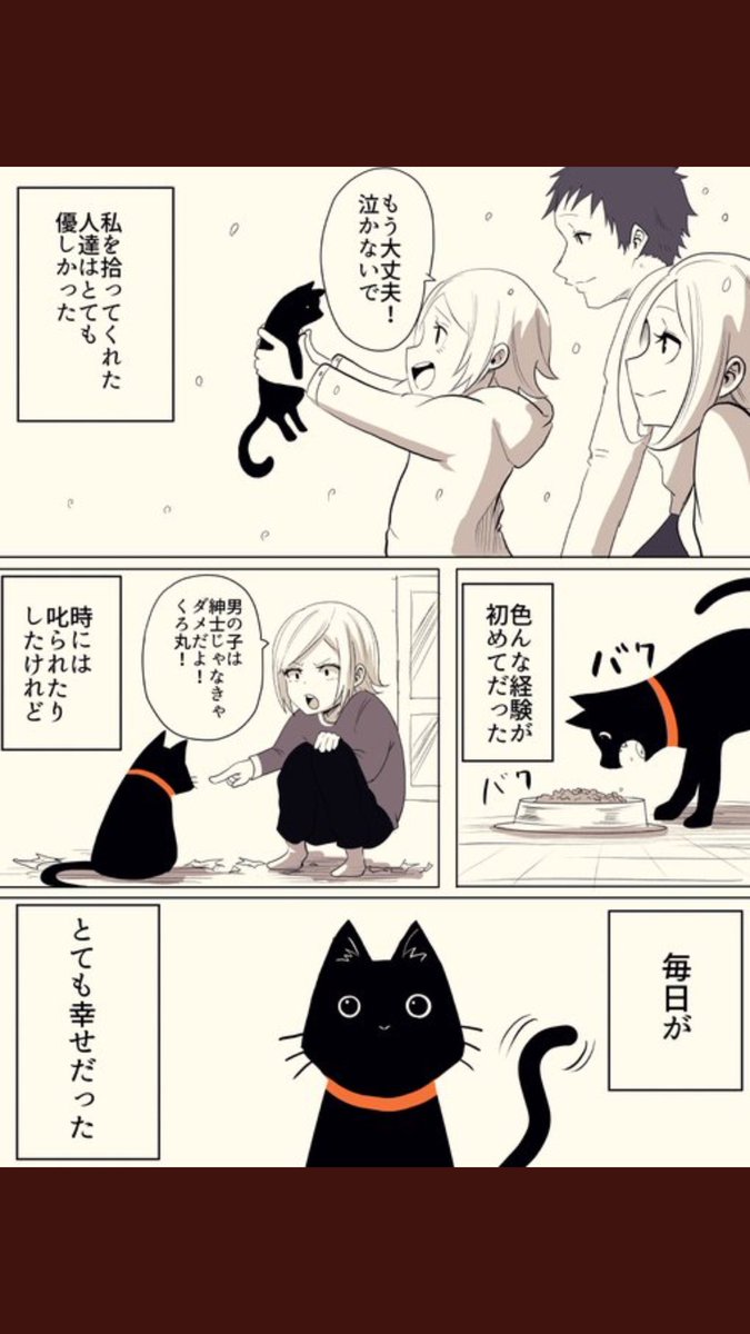 泣ける猫漫画