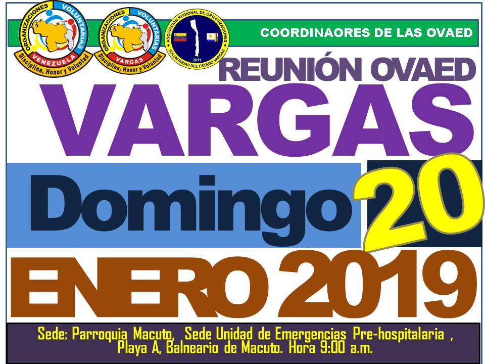 voluntarios vargas tweet media