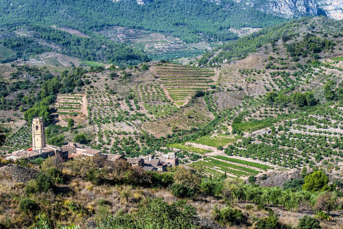 Demà més reunions per trobar el desllorigador jurídic a l'ens de gestió del paisatge cultural agrícola del Priorat, que UNESCO està avaluant. Un projecte de comarca, que va molt més enllà i vol esdevenir referent. Estarem a l'alçada dels compromisos adquirits i de la feina feta?