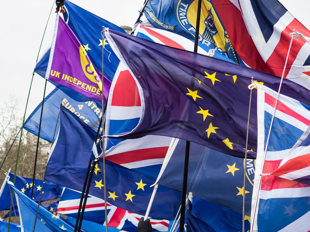 boxerrising's tweet image. Just a few pictures from the scenes at Westminster yesterday before the historic #brexit vote.  #photocreditjhayward