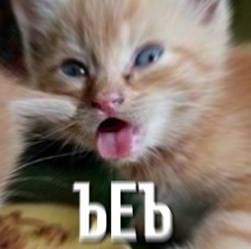 DxBBE5RX4AAlNHK?format=jpg&name=360x360