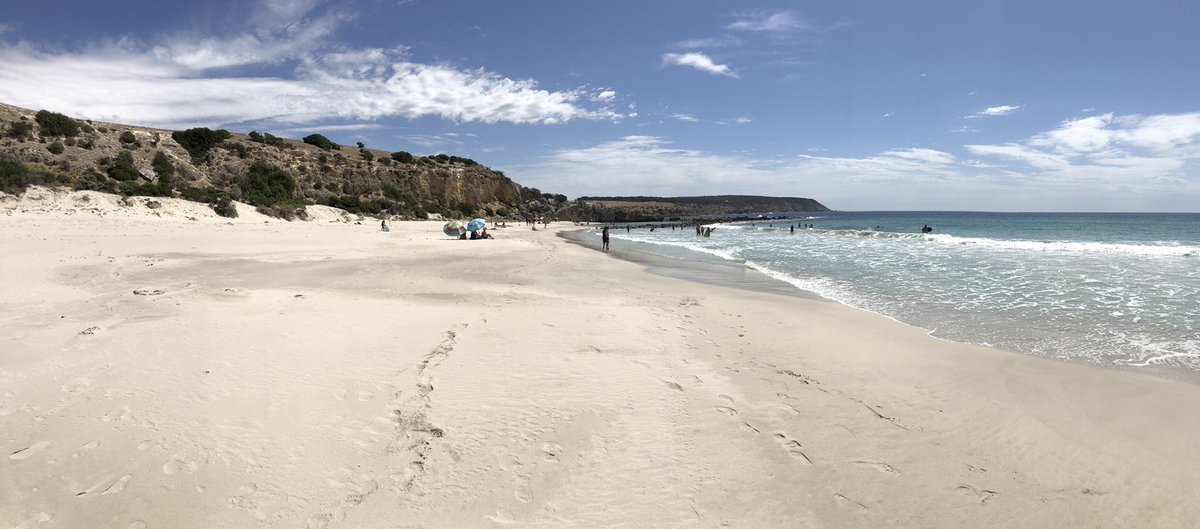 robungy's tweet photo. Not sure how much more summer holidays I can tolerate 🍻🎣🏖🌞#kangarooisland #sagreat #abeachaday https://t.co/fykXeKnWRq