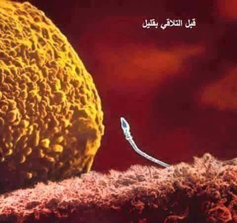 RamyAlSawy1's tweet photo. قصة قصيرة عظيمة عنوانها :

( ثُمَّ خَلَقْنَا النُّطْفَةَ عَلَقَةً فَخَلَقْنَا الْعَلَقَةَ مُضْغَةً فَخَلَقْنَا الْمُضْغَةَ عِظَامًا فَكَسَوْنَا الْعِظَامَ لَحْمًا ثُمَّ أَنشَأْنَاهُ خَلْقًا آخَرَ فَتَبَارَكَ اللَّهُ أَحْسَنُ الْ��َالِقِين ).

. https://t.co/qrLnIBNDbz