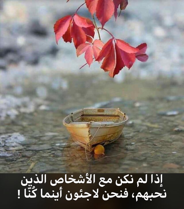 الركن الهادي tweet media