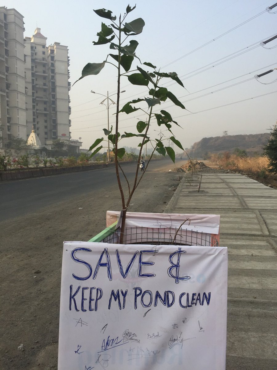 DK_Rise4Green's tweet photo. @tech_mahindra @C_P_Gurnani #waste2Opportunity. In #Mumbai there is an event #everyday. We picked the banners and posters #post events which are lying, dumped and collected from #ragpickers for #fencing our #roadside #adopted plants. #EachoneAdoptOne #Riseforgood @anandmahindra https://t.co/Iha4pLu9JZ