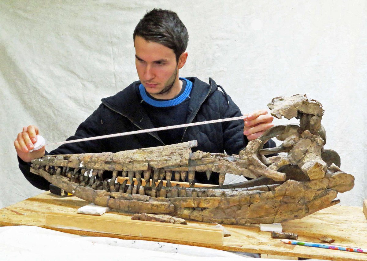 lapworthmuseum's tweet photo. This #FebruaryHalf term join @Dean_R_Lomax at the Museum and find out more about life in the Jurassic Seas! Meet Mary Anning and hear about her amazing discoveries &amp; help the Museum team digitize Jurassic specimens!

20th of Feb, entrance is free of charge https://t.co/TwwOBBVHAB https://t.co/hjWOPEK0qZ